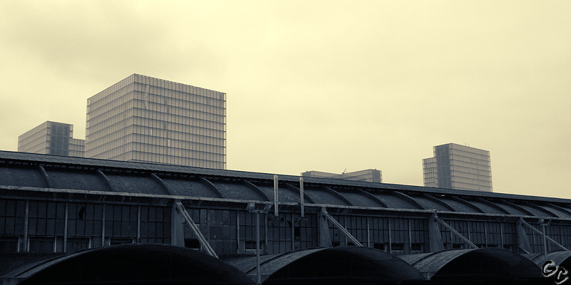 BNF en croisé (TC C41 en E6 sur NB TriX virage platine)