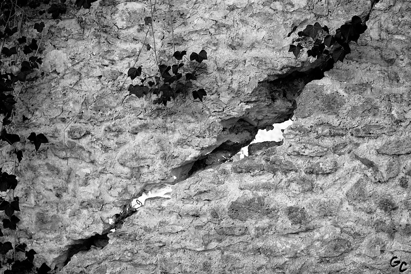 Crevasse murale
