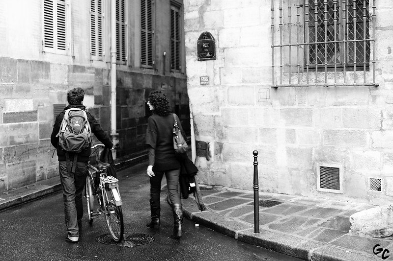 Il y a un but, mais pas de chemin ; ce que nous nommons chemin est hésitation. [Franz Kafka]