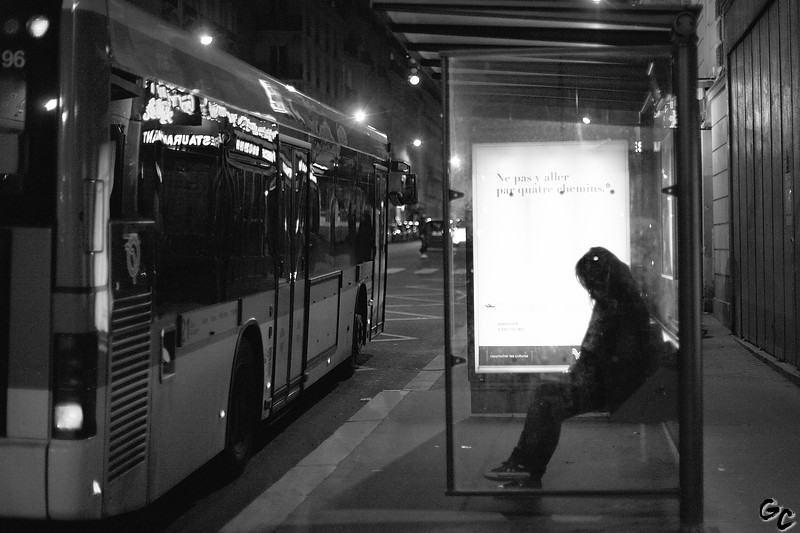 Il y a un but, mais pas de chemin ; ce que nous nommons chemin est hésitation. [Franz Kafka]