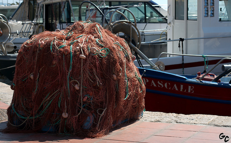 Pascale... retour de pêche