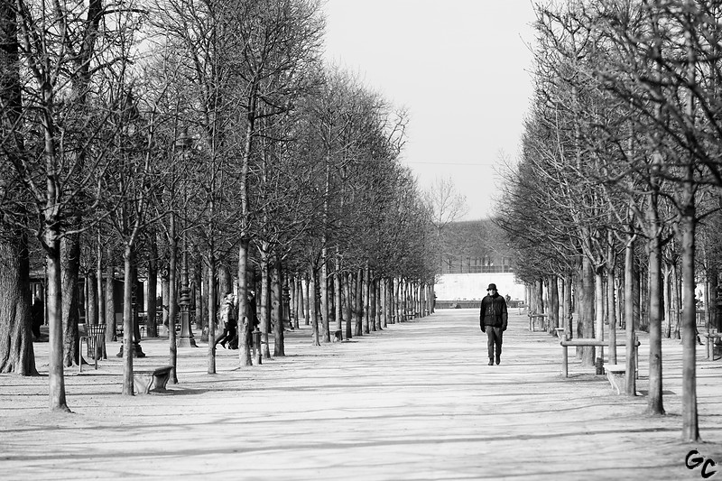 Promenade solitaire