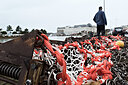 Red Jack