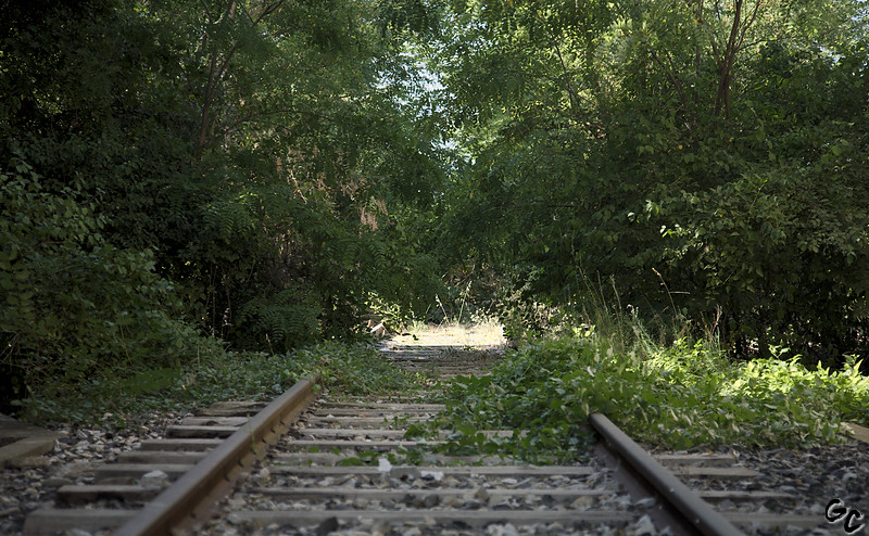 Train Fantôme